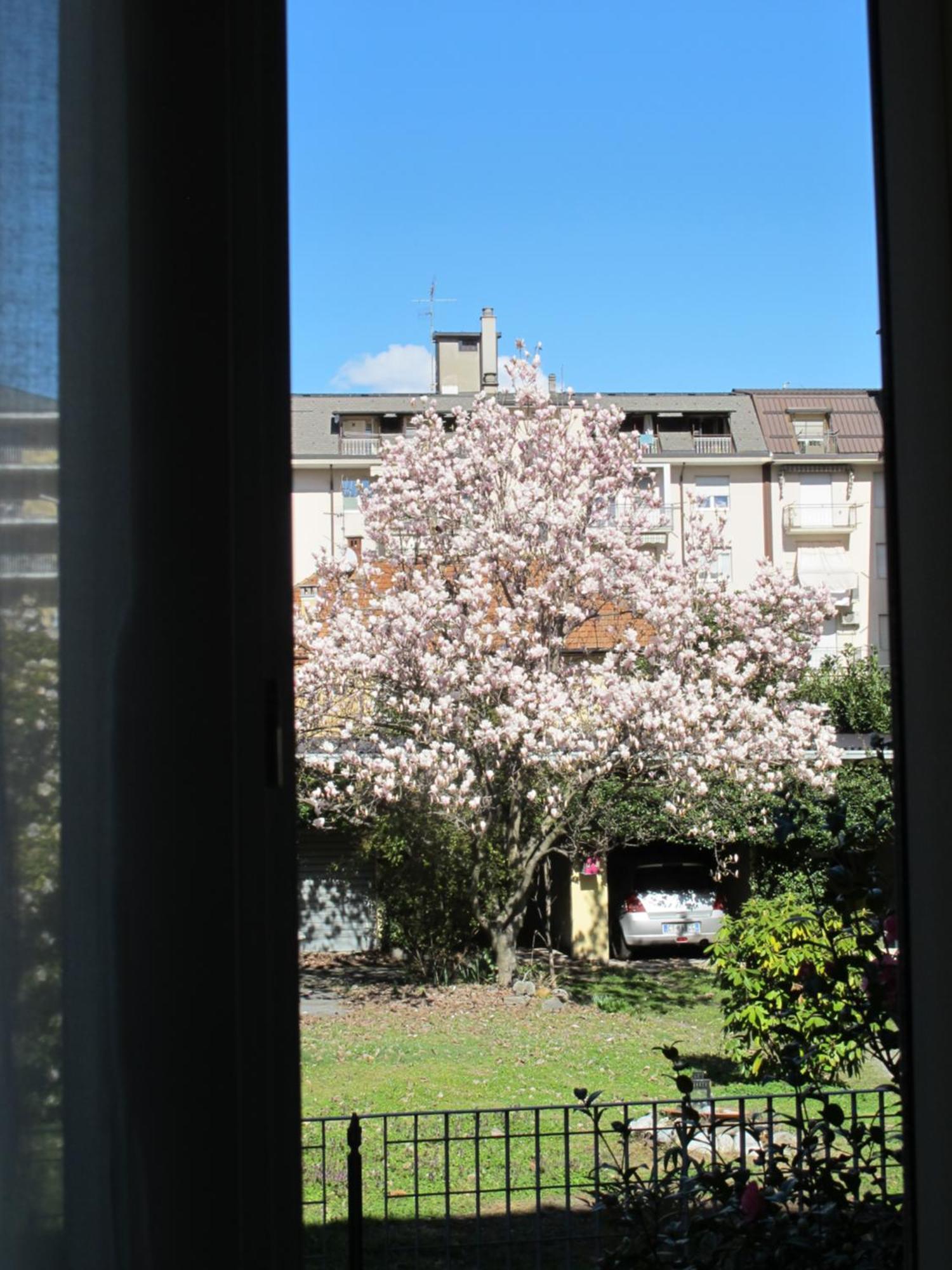 Ferienwohnung Domus Mea Domodossola Exterior foto
